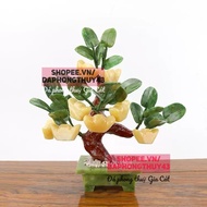 Beautiful product, fortune tree, golden fairy tree, golden dragon, new 8 fruit tree
