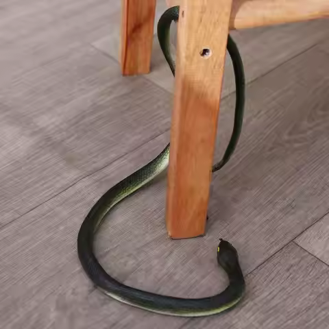 Fashion Simulation Snake Snake Prank Large Realistic Scary Tricky Funny Gift Practical Joke Fake Sna