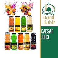 CAESAR JUICE 250ML | Premium Fruit Juice in Glass Bottle | Apple / Lemon Mint / Mango / Mixed Berry 