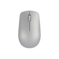 WL Optical Mouse  Platinum Gre