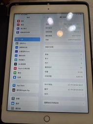 iPad Air 2 32GB 金色連保護套