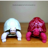 Bandai Kame Exclusive Dango Mushi Tortoise Figure Joint Movable Crawler
