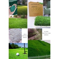 ✔️Ready Stock FREE SHIPPING Benih Rumput / Grass Seed *Bermuda Grass* Golf Grass* Japanese Grass* Sl