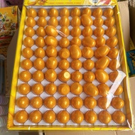 Wholesale tray of 80 golden eggs to win gachapon capsule