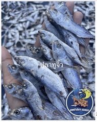 ปลาทูจิ๋วปลาทูตากแห้ง สดใหม่ (น้ำหนัก 1kg. 110 บาท)