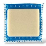 BAJAJ CT 100 125 ELEMENT- AIR FILTER 31121029