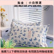 稻殼枕頭單人硬枕頭加大宿舍稻穀殼家 稻麥皮4874學生高枕 一對