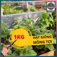 1KG green spinach seeds (malabar spinach)