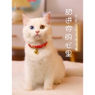 Cat Collar Cat Bell Collar Cat Collar Cat Collar Decorative Necklace Dog Collar Kitten Collar Cat Je