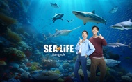 Tiket SEA LIFE Bangkok Ocean World