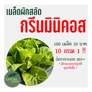 🌱เมล็ดผักสลัดอินทรีย์ กรีนมินิคอส 100 เมล็ด 10แถม1 🌱อัตราการงอกสูง มีคู่มือการปลูกทุกซอง เมล็ดพันธุ์