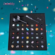Lohobby Rock Collection for and Mineral Collection Tools Geology Science Stem Toys for Kids Adults G