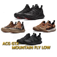 Nike ACG GTX Gore-Tex Mountain Fly sneakers low trekking men's sports shoes