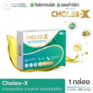 CHOLES-X Stainless X Dietary Supplements Complete In One Tablet DHA K2 D3 Q10 Olive Oil B3