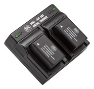 BM Premium 2 Pack of DMW-BMB9 Batteries and Dual Bay Battery Charger for Panasonic Lumix DC-FZ80, DC