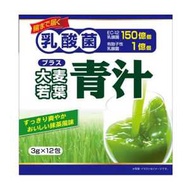 YUWA 300億乳酸菌 大麥若葉青汁 12包