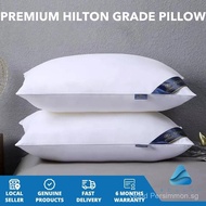 1kg Hilton Five Star Hotel Grade Pillow 11 Color Options Luxurious Ultimate Comfort 1000g