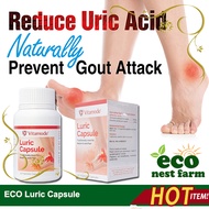 Gout Supplement Vitamode Luric Capsule Gout Uric Acid