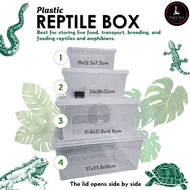 Plastic Reptile Box Amphibian Insect Reptile Breeding Box Transport Feeding Storage with Air holes