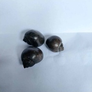 Kol Buntet kerang Buntet hitam asli