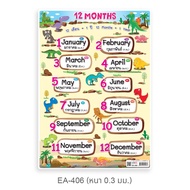 Poster 12 Months EA-406 A4 Size PP Plastic Learning Media Skill Development