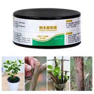 50g Plant Healing Sealant Bonsai Wound Healing Agent Tree Pruning Paste