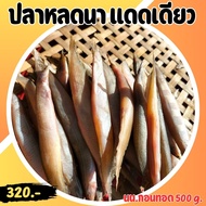 ปลาหลดแดดเดียว ปลาเนื้อแน่น สดใหม่อร่อย รสชาติดี ไม่ใส่สารกันบูด (นน.500g)/แพค