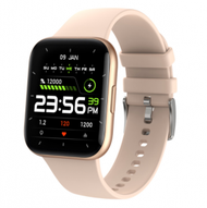Others - P25智慧手錶心率血壓監測1.69英寸高清全觸摸屏運動計步手環（金色）