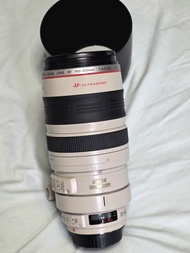 Canon EF 100-400mm f/4.5-5.6L IS USM 鏡頭
