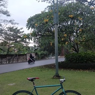 sepeda fixie second