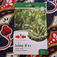 (EXP 10/03/2025) TIMUN BATANG MINI F1 "PANAH MERAH" @ MINI CUCUMBER SEED BENIH THAILAND