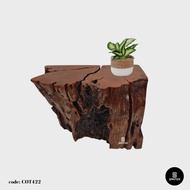 COT422. Chengal Emas Artistic Wood Pedestal/ Wooden Stump / Rustic Stump / Plant Stool