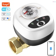 EWeLink WiFi Watervalve Automatic Switch Intelligent Ball Valve IP65 Waterproof Rating Wireless Remo