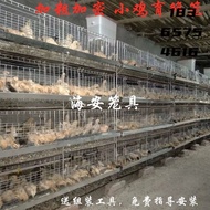 Cage Encrypted Cage Chicken Extra Thick Small Cultured Chicken Egg Chicken Cultured Chicken Cage Cag