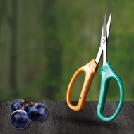 Stainless Steel Scissors Fruit Tree Scissors Gardening Scissors