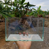 25x10x15 Ornamental Fish Aquarium