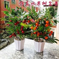 Orange Tree Decoration Fake Living Room Bonsai Bonsai Fake Water Tree Potted Peach Tree Home Fruit F