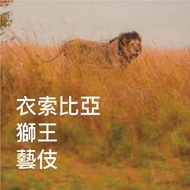 Single Origin Coffee Beans Ethiopia Lion King Geisha Sun-dried [Half Pound]