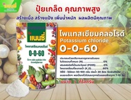 แนนซี่ ปุ๋ยเกล็ด 0-0-60 ( 1 กิโลกรัม ) โพแทสเซียมคลอไรด์ เร่งผล เร่งหัว เร่งสี ขยายผล