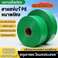 สายส่งน้ำ 2/3นิ้ว  50-100 เมตร รุ่น Super สายส่งPE หนาพิเศษ เหนียว ทน แข็งแรง ทนทาน 24 บาร์ สายส่งน้