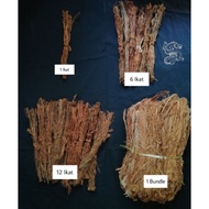 Akar Sintok / Akar Beluru - 1 Ikat