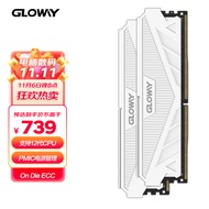 光威（Gloway）32GB(16Gx2)套装 DDR5 5200 台式机内存 天策系列-皓月白