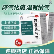 Zixin Suzi Air-Reducing Pills 6g * 6 Bags/Box Warm Kidney Medicine Reduce Breath Reduce Phlegm Nasal