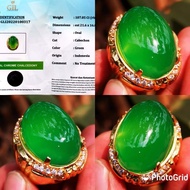 Cincin Pria Batu Akik Asli Natural Green Chrome Chalchedony Kristal Sertifikat GLI Lab