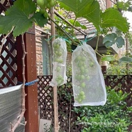 Universal Bag Fruit Grape Peach Fig Wholesale Bag 4HTF