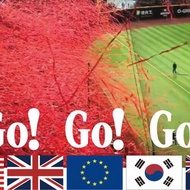 應援必備國旗紋身貼紙 世界賽事、文化交流活動、 一貼就有氣氛