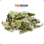 Combo Mulberry Leaves - Guava Leaves - Almond Leaves, Ornamental Shrimp Food, Aquarium Decoration / 