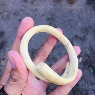 Gelang Akar Bahar Asli Murah Original Putih