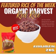 RED RICE DINORADO ORGANIC HARVEST