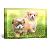 Personalized Photo Prints with Led Lights,Custom Canvas Prints with Your Photos,Canvas Wall Art with